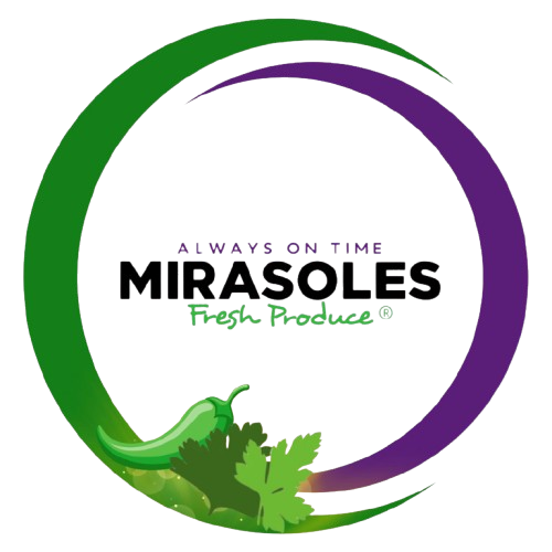Logo de Mirasoles